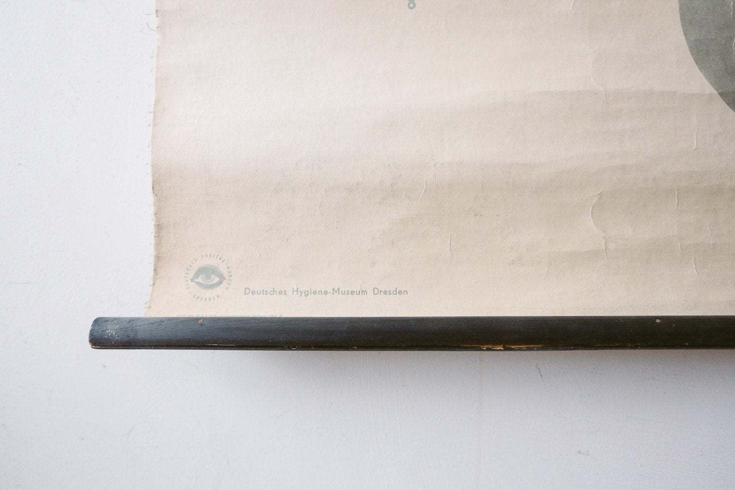 Original Medical Vintage German School Wall Chart Dressings Bandages Anatomy Beautiful Rare photo vinterior