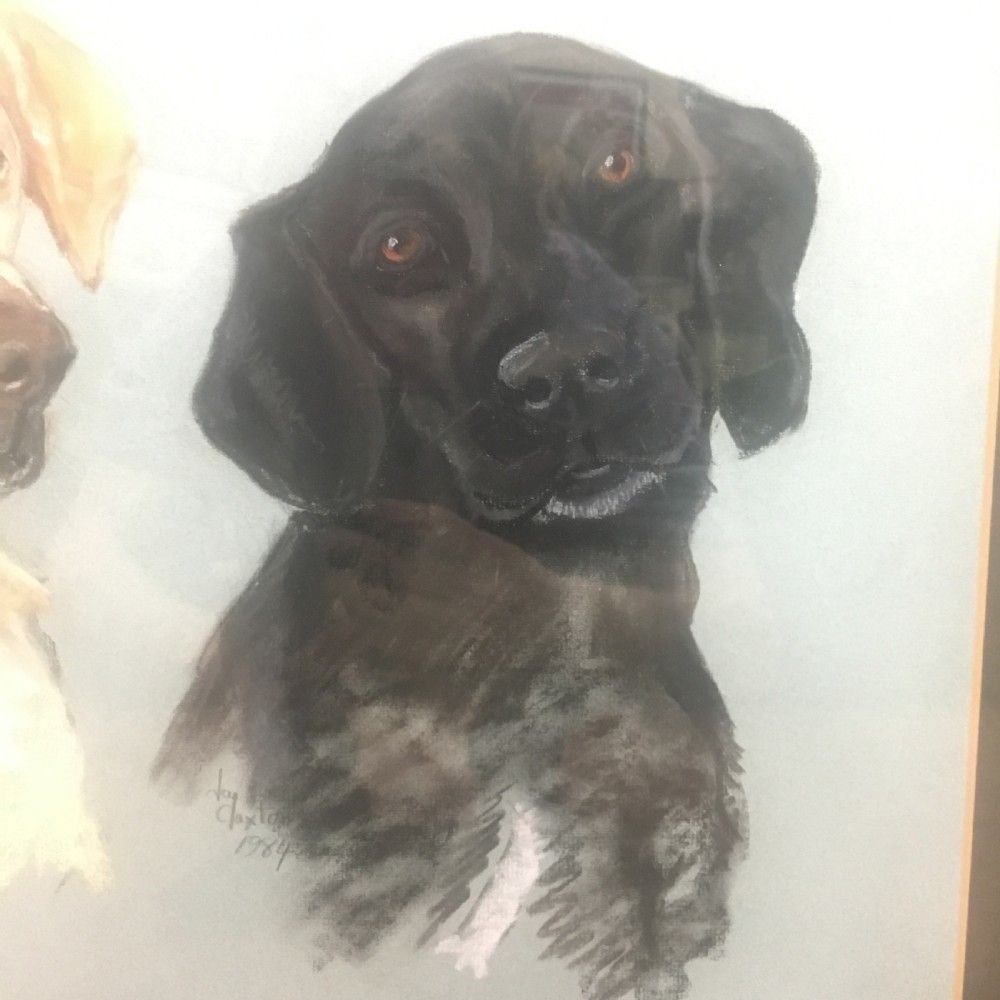 Jay Claxton Signed Pastel Drawing Of Labrador & Spaniel 1984 photo furniture