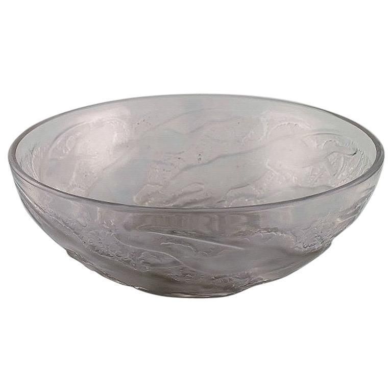 Coupe Art déco « Chiens » en verre d'art René Lalique, ancienne et rare, années 1930