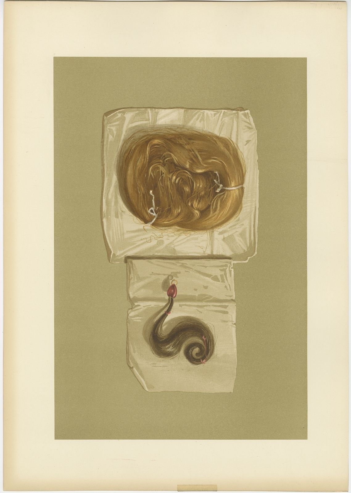 Antique Print Of A Lock Of Hair By Gibb (1890)