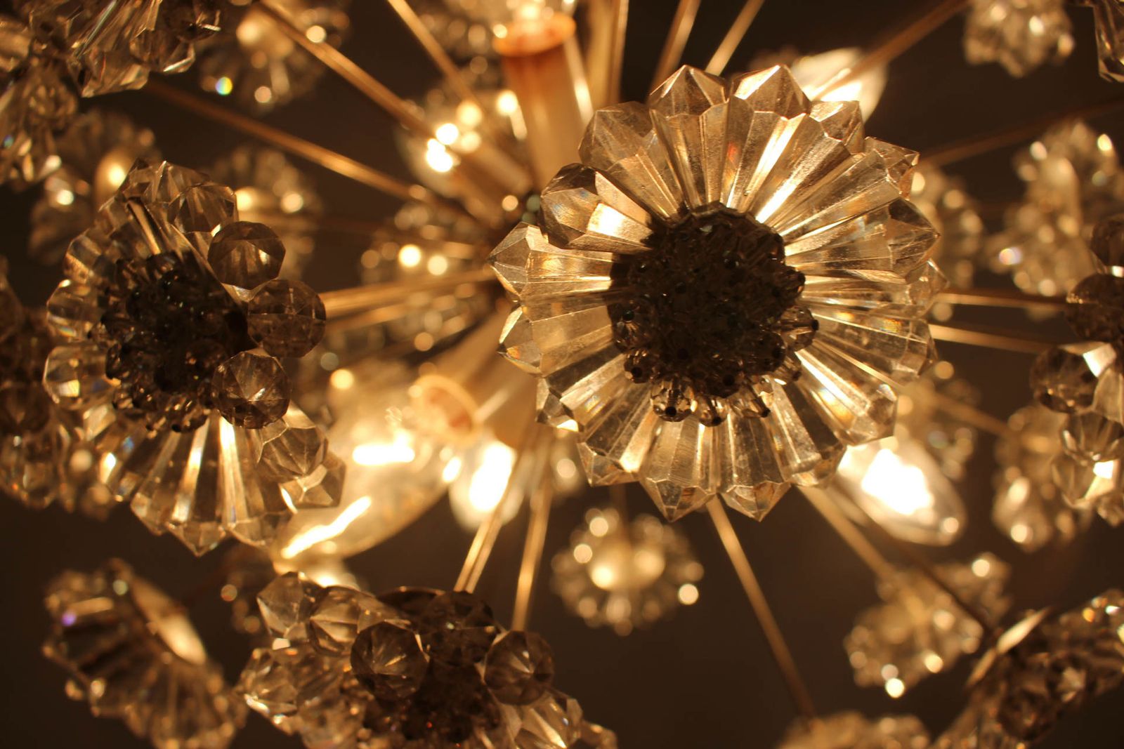 1095.0 Dandelion Chandelier By Preciosa, 1970s photo