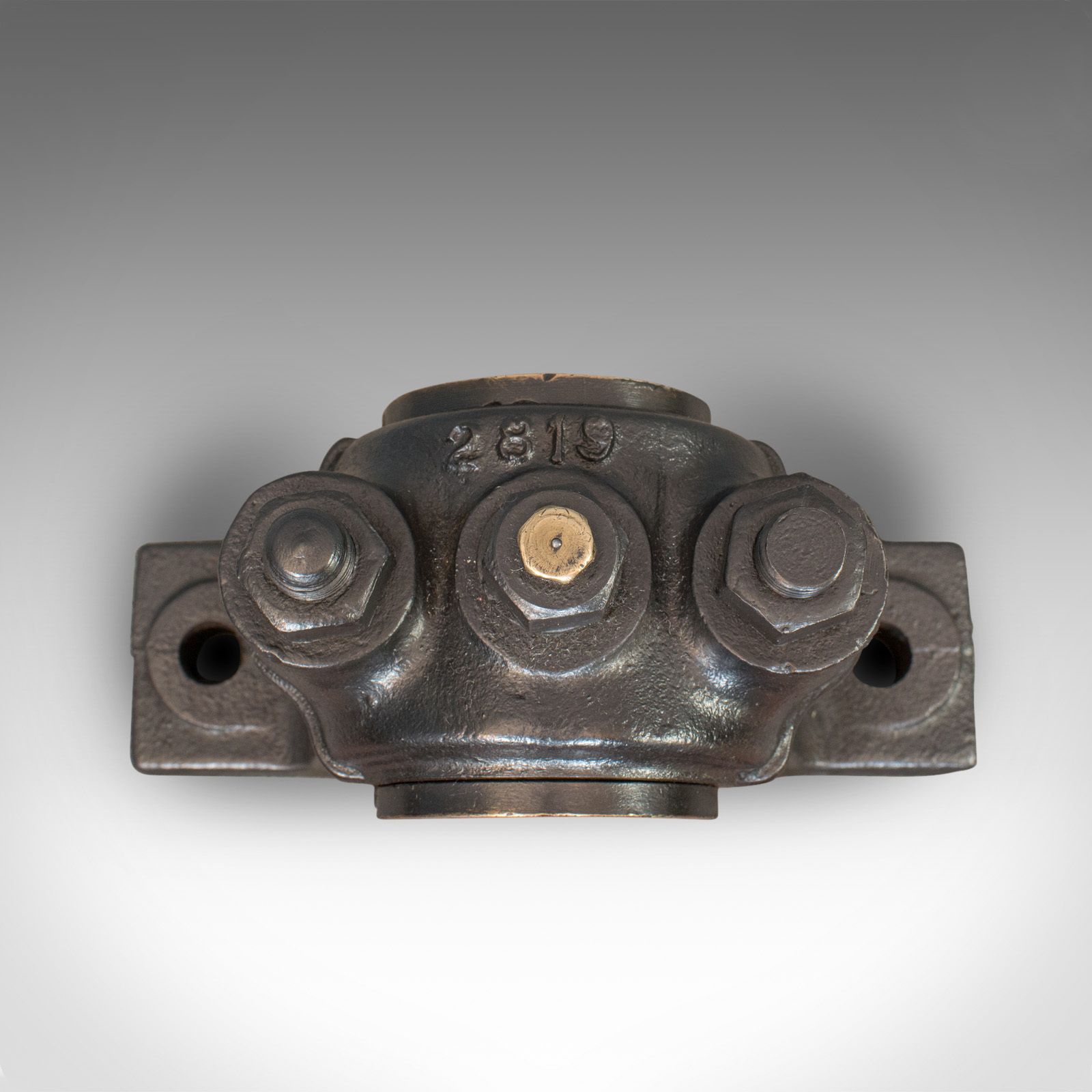 Antique Bearing, Graphite, English, Cast Iron, Ornament, Paperweight, Victorian photo vinterior