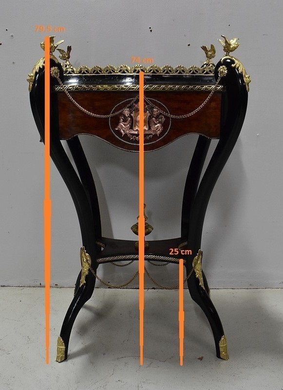 photo for sale Planter In Bramble Veneer And Bla Planter In Bramble Veneer And Blackened Wood, Napoleon III Period, 19th
