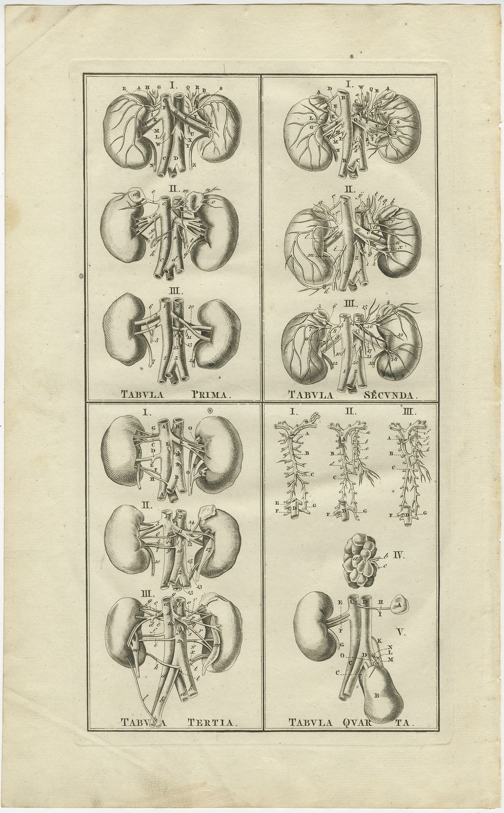 Antique Anatomy Print Of The Endocrine System By Elwe (1798)