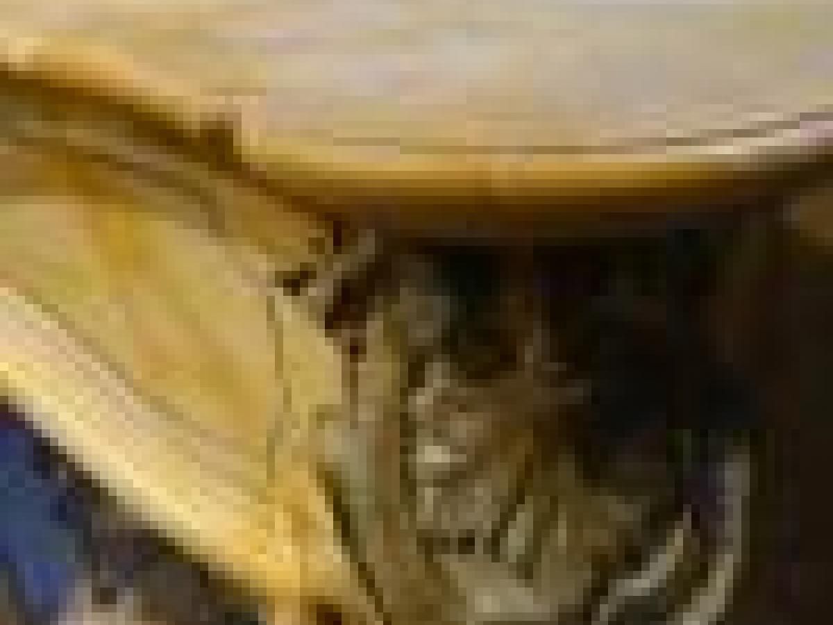 photo for sale A Stunning French Sienna Marble Surround With Ormolu