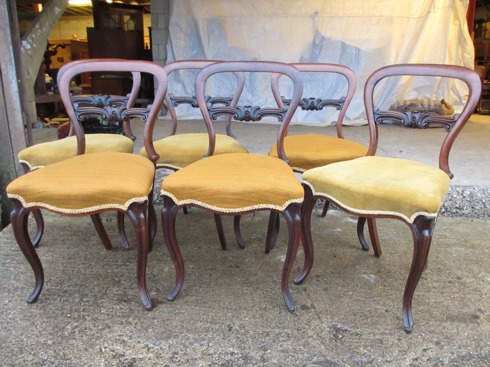 Set Of 6 Victorian Rosewood Balloon Back Dining Chairs Serpentine Seats