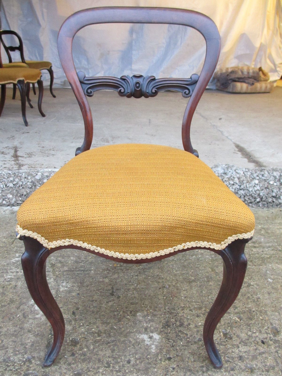 Set Of 6 Victorian Rosewood Balloon Back Dining Chairs Serpentine Seats photo for sale