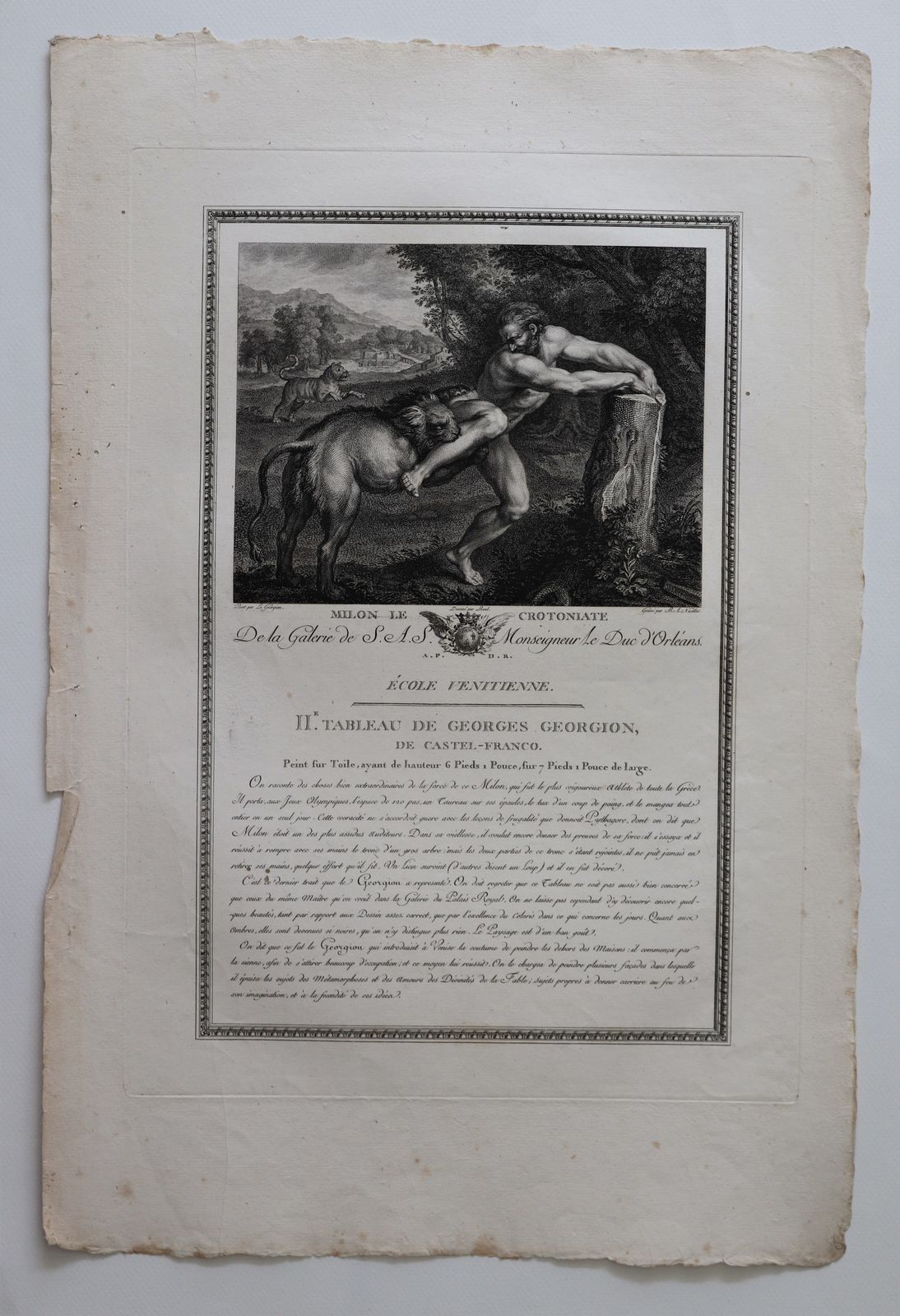 Engraving   "Milon Le Crotoniate" From The Gallery Of S.A.S. Monseigneur Duke Of Orleans, Venetian School photo for sale