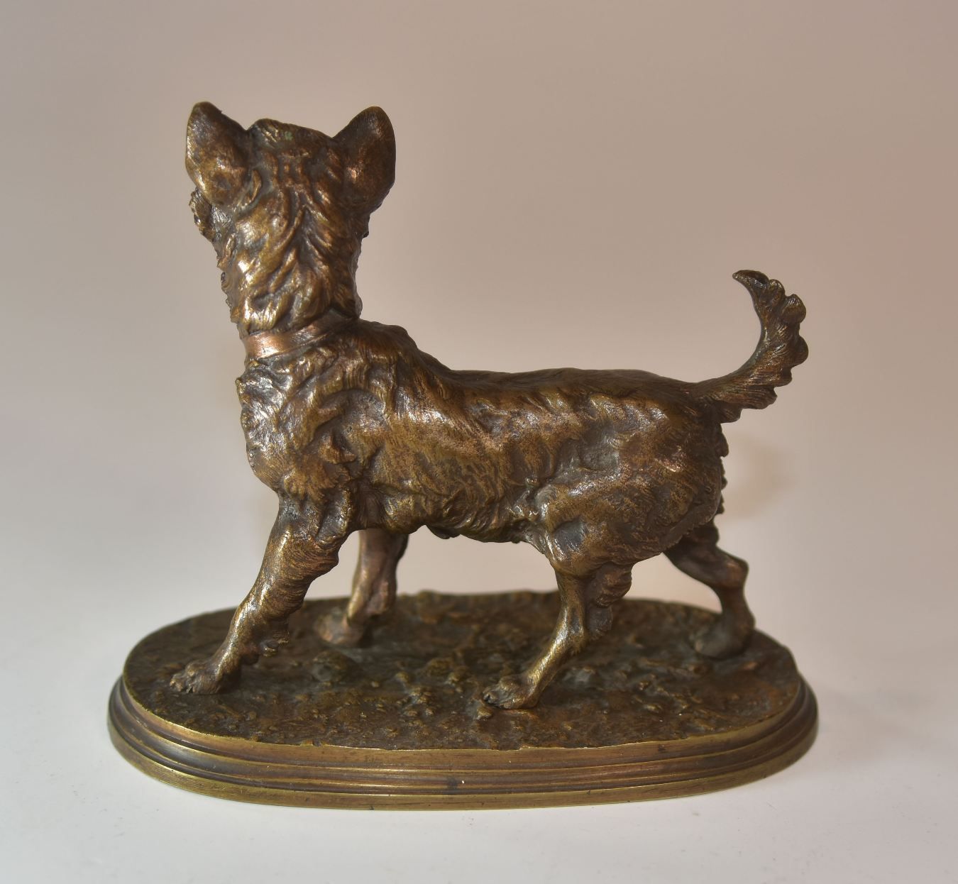 Companion Style Bronze Griffon Dog Medal P. J Mène Xi Xth Time photo 982.0