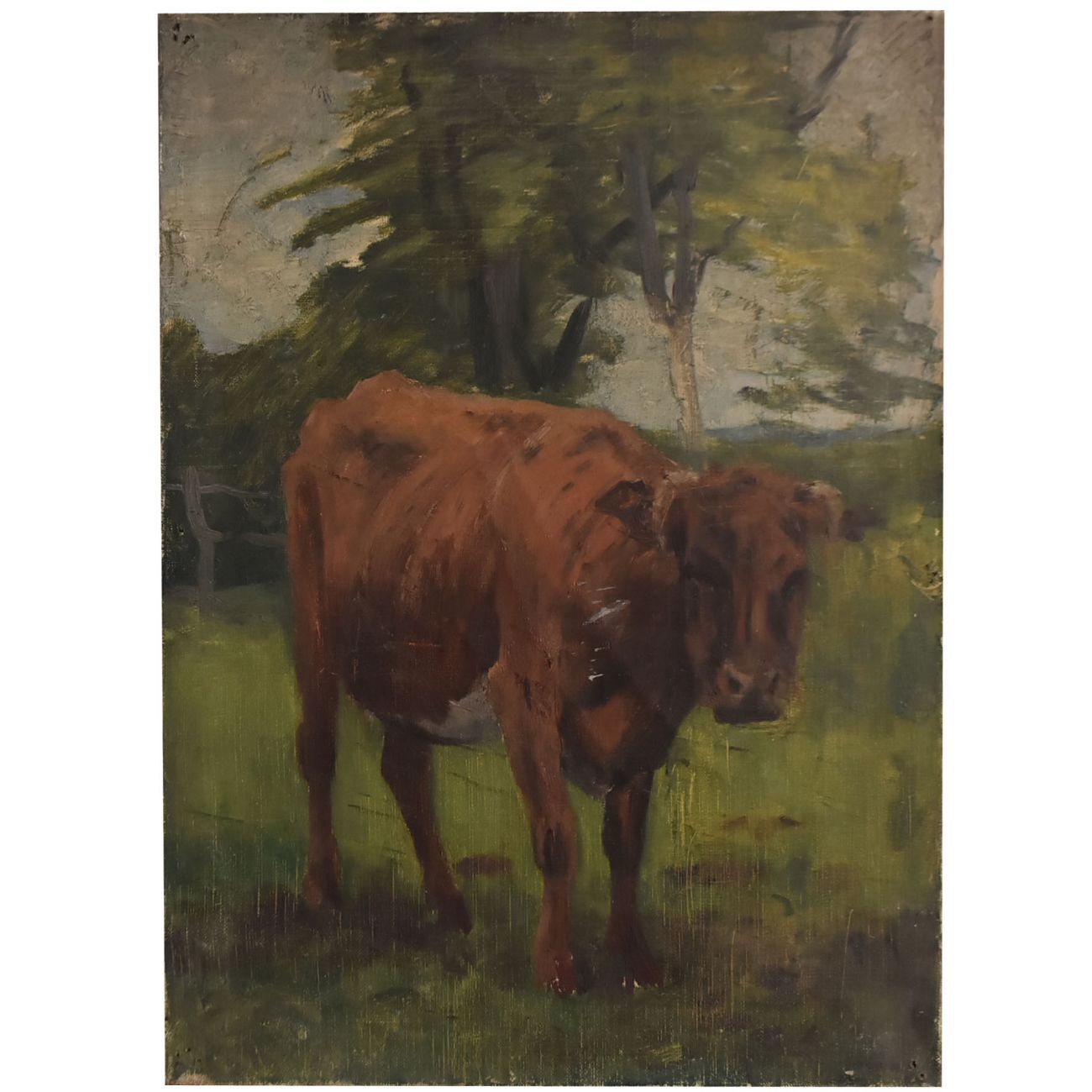 Animal Portrait: Cow By Charles Bousquet French School