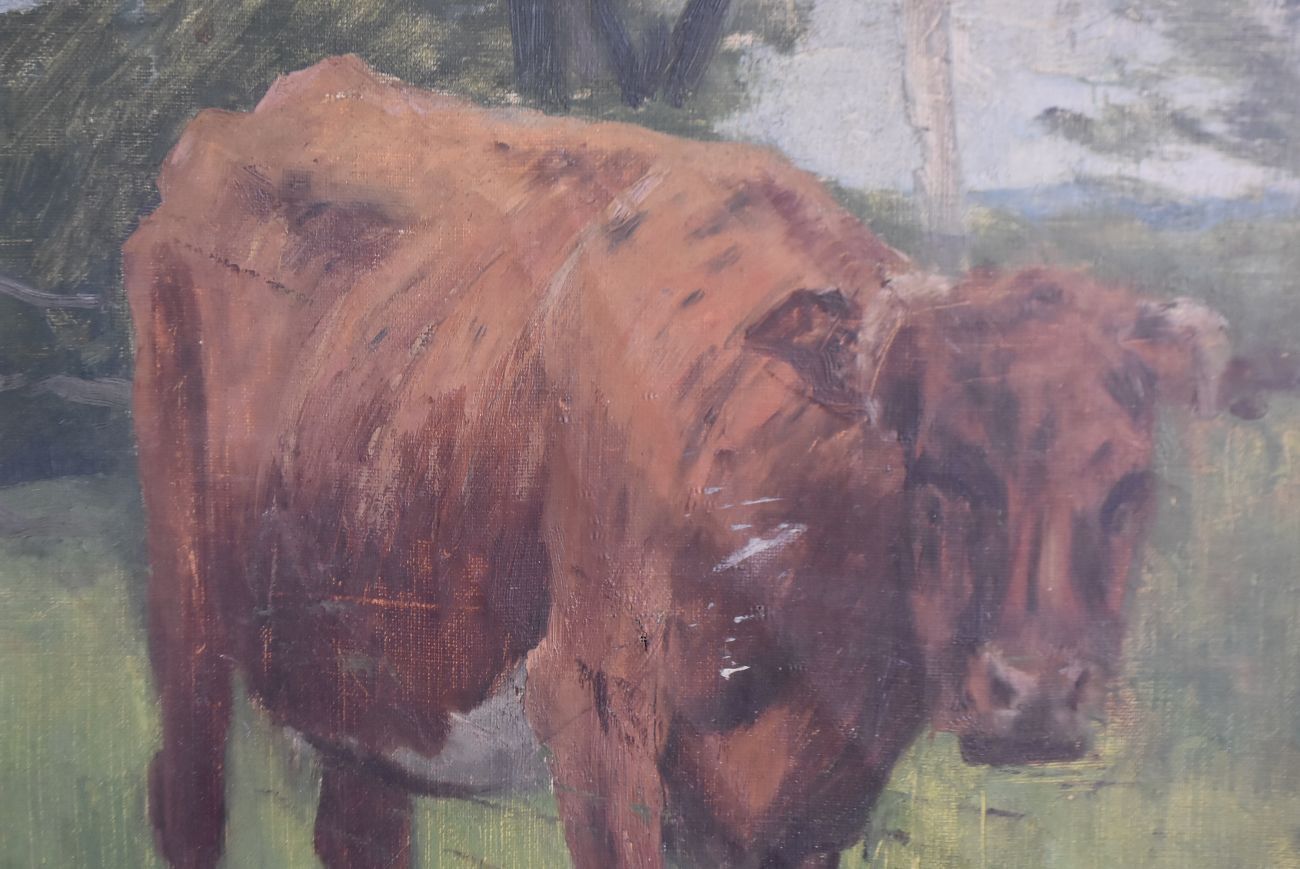 Animal Portrait: Cow By Charles Bousquet French School photo furniture