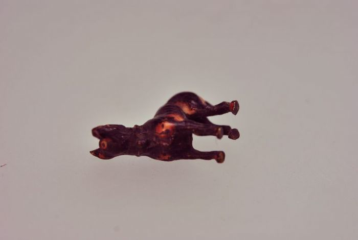 Vienna Bronze Old Nineteenth Young Dog photo 490.0