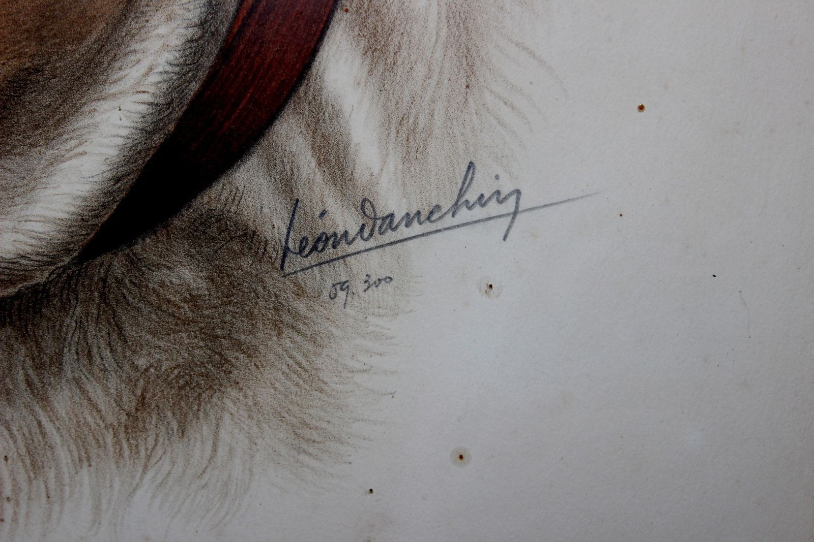 French Drawing  Bulldog Portrait Signed By Leon Danchin Number 59/300 photo 540.0