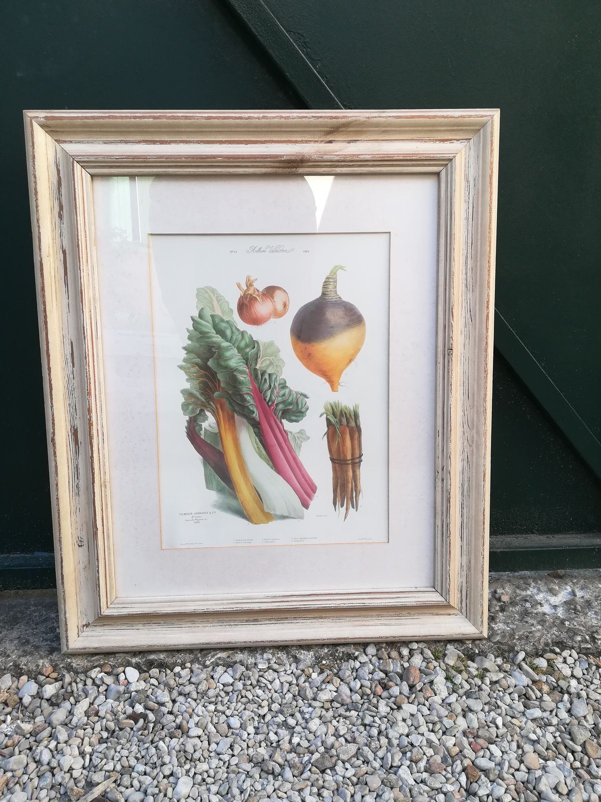 Framed Botanical Plank, Vegetables photo for sale