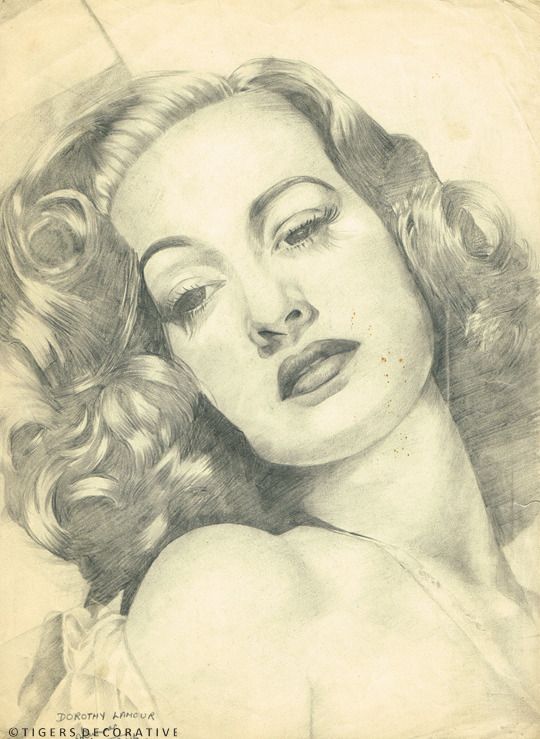 415.0 Hollywood Star's Framed Sketches photo