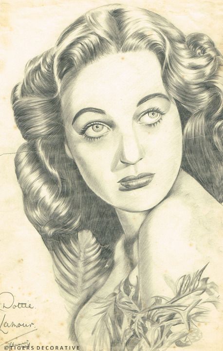 photo buy Hollywood Star's Framed Sketches