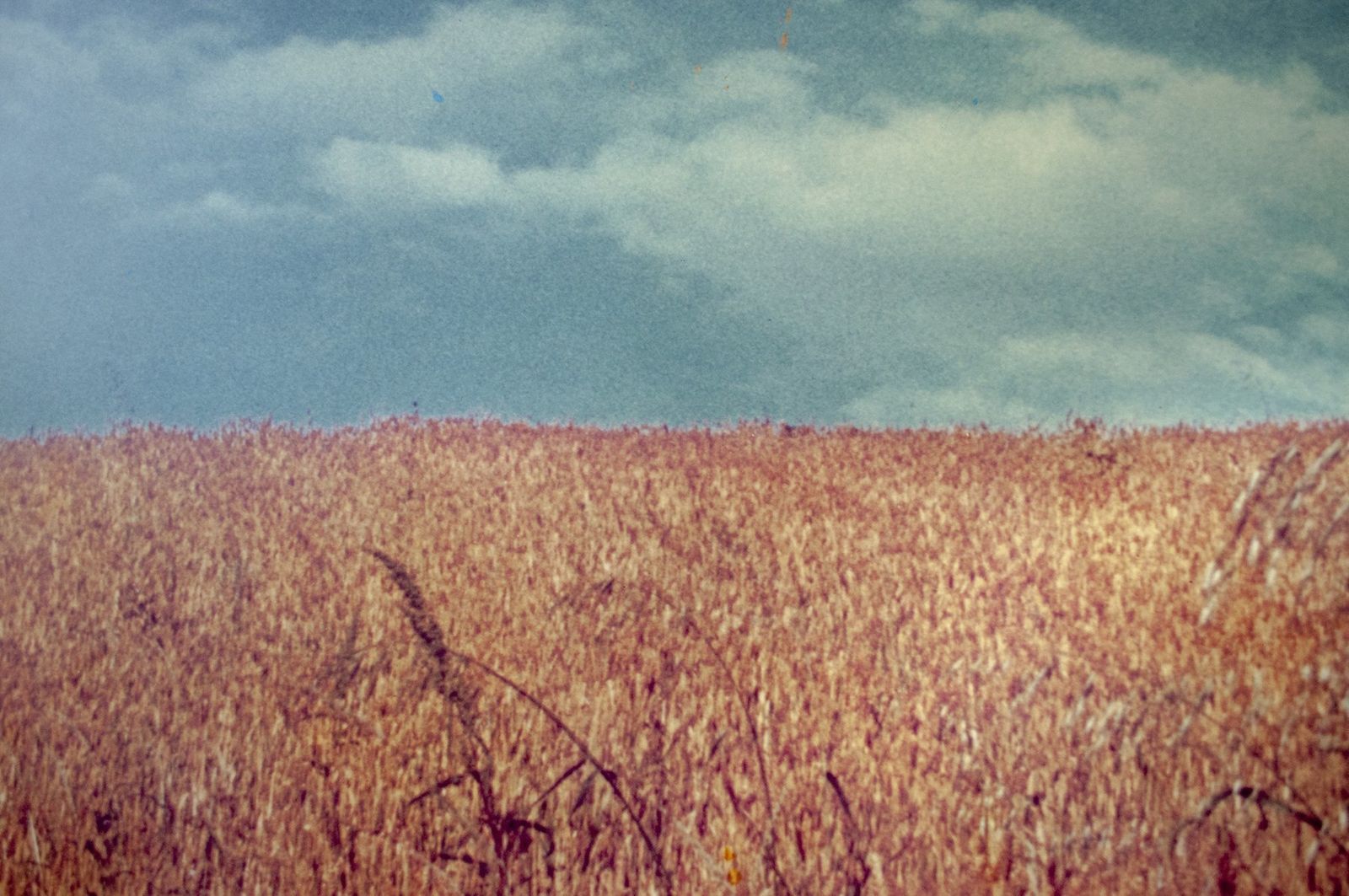 Vintage Italian La Collina Print By Luigi Ghirri For A. Villani & Figli, 1976 photo for sale