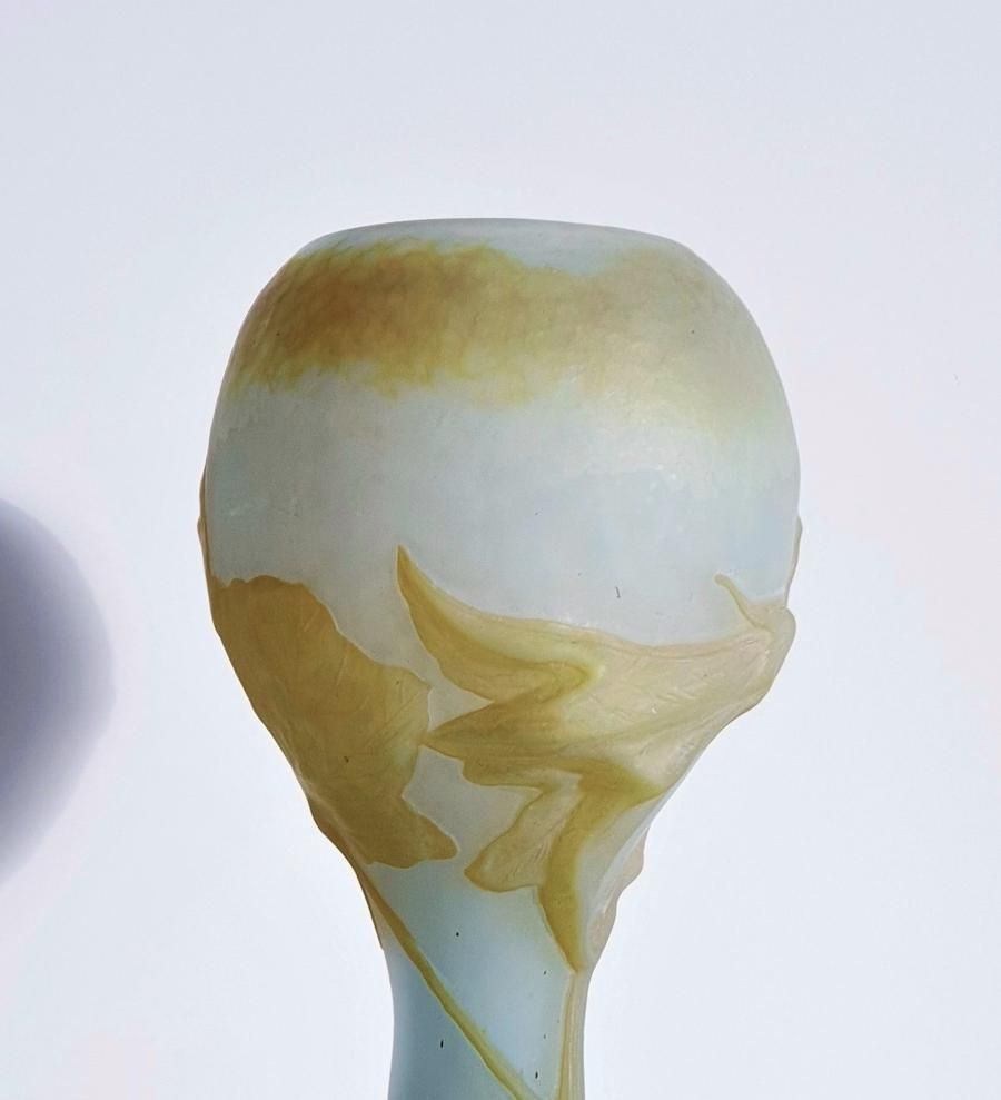 Daum 'Fleur De Coloquinte' French Art Nouveau Satin Cameo Glass Vase | C. 1900s, Antique photo vintage