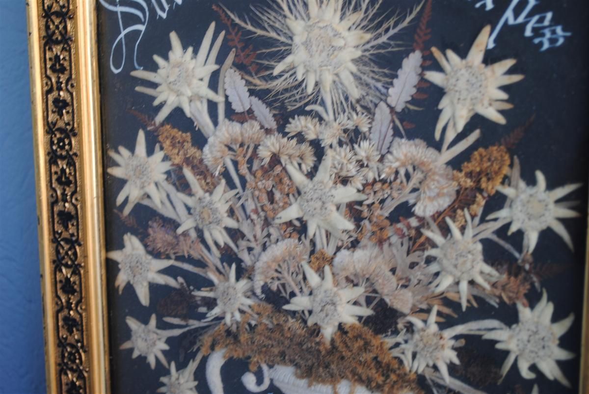 Souvenir Des Alpes Composition Of Dried Flowers Late 19th Century photo Art
