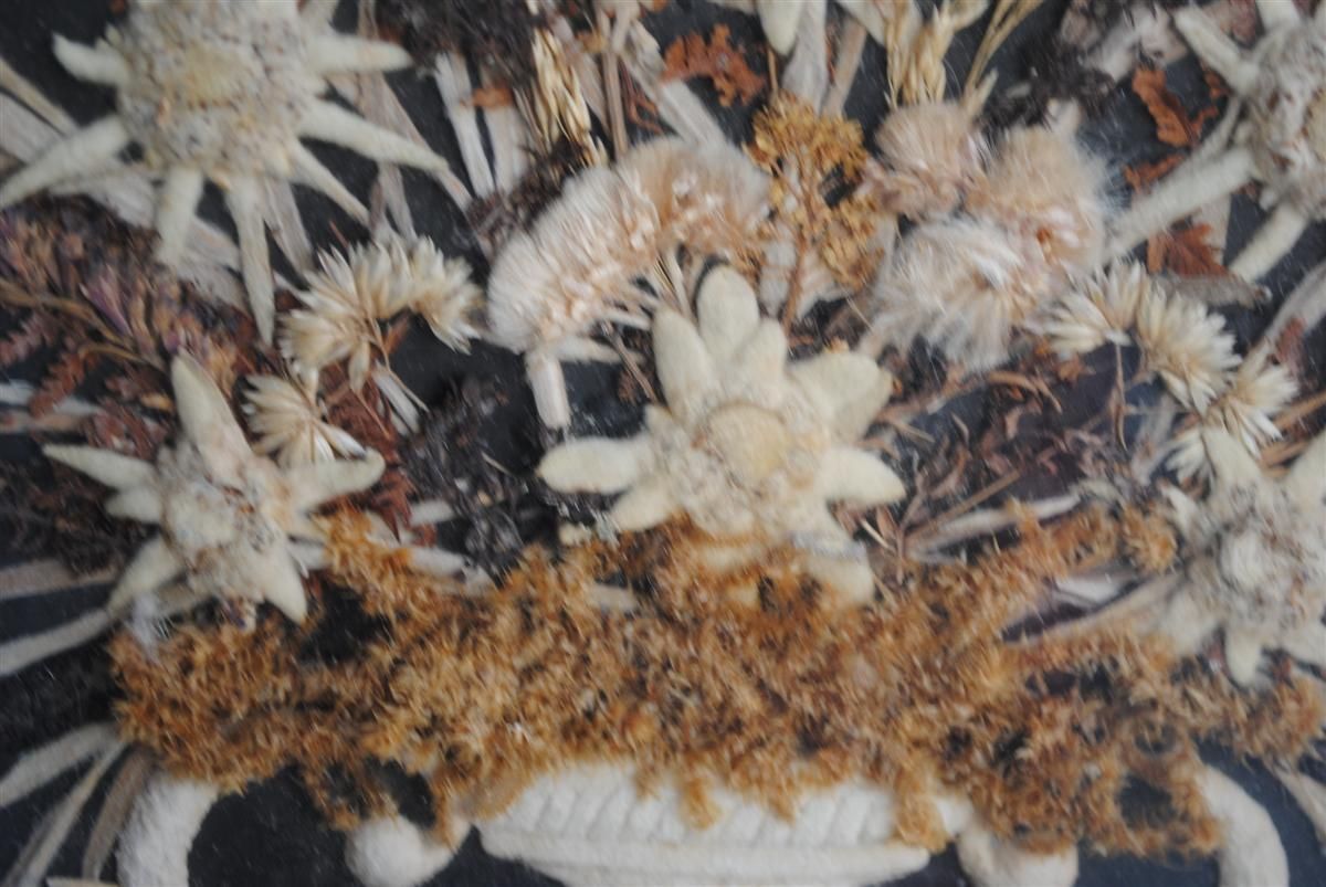 photo vinterior Souvenir Des Alpes Composition Of Dried Flowers Late 19th Century