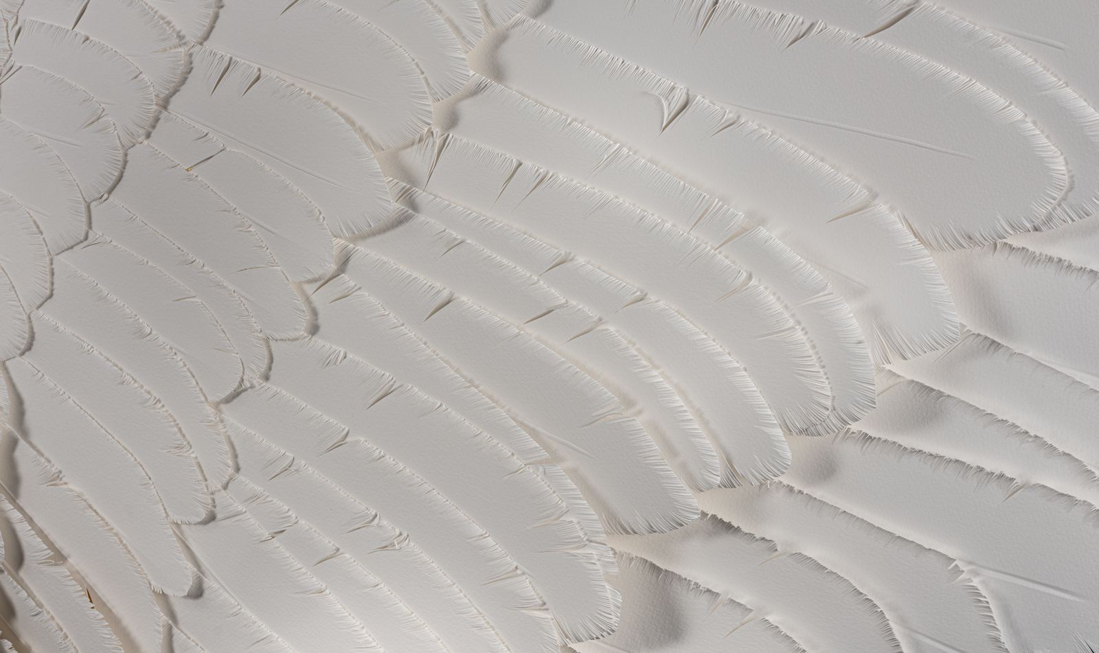 The Angel Wings. Stunning & Unique Pair Of Handmade Paper Feather Wall Art Sculptures. photo for sale