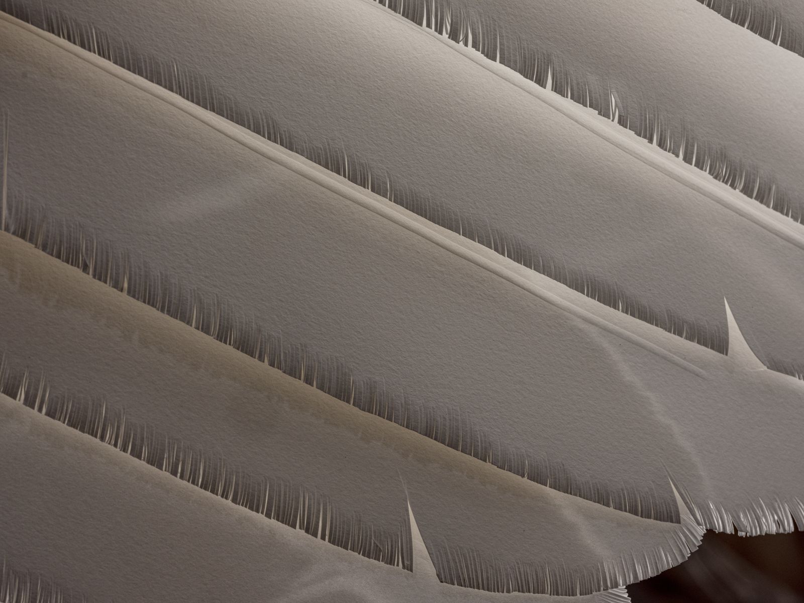 The Angel Wings. Stunning & Unique Pair Of Handmade Paper Feather Wall Art Sculptures. photo buy