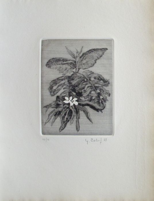 Ballif Yannick   Engraving   Flowers 6