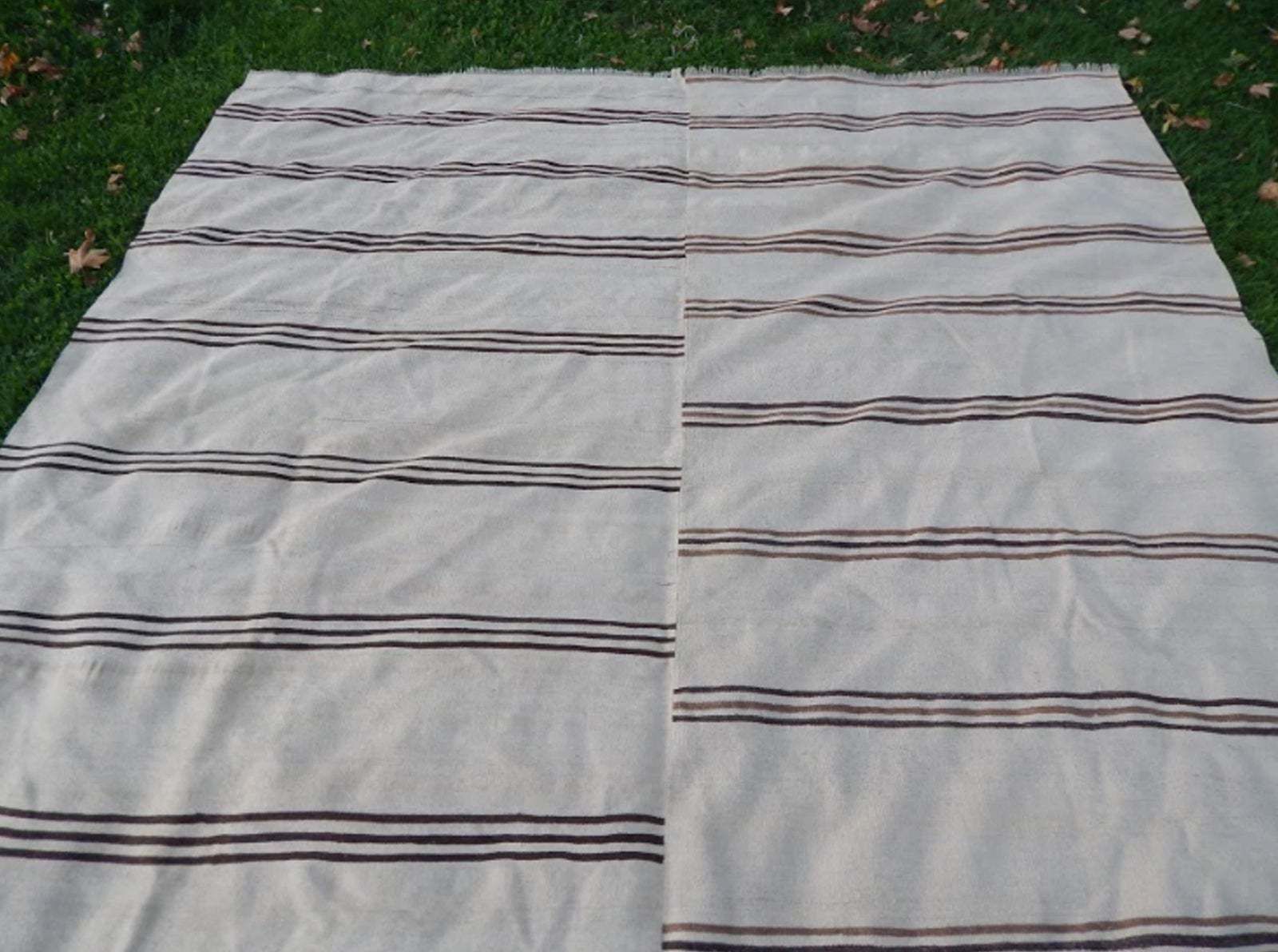 Palace Sized Anatolian Hemp Kilim Rug Hand Woven Natural Rug   9′ × 12′8″ photo 1482.0