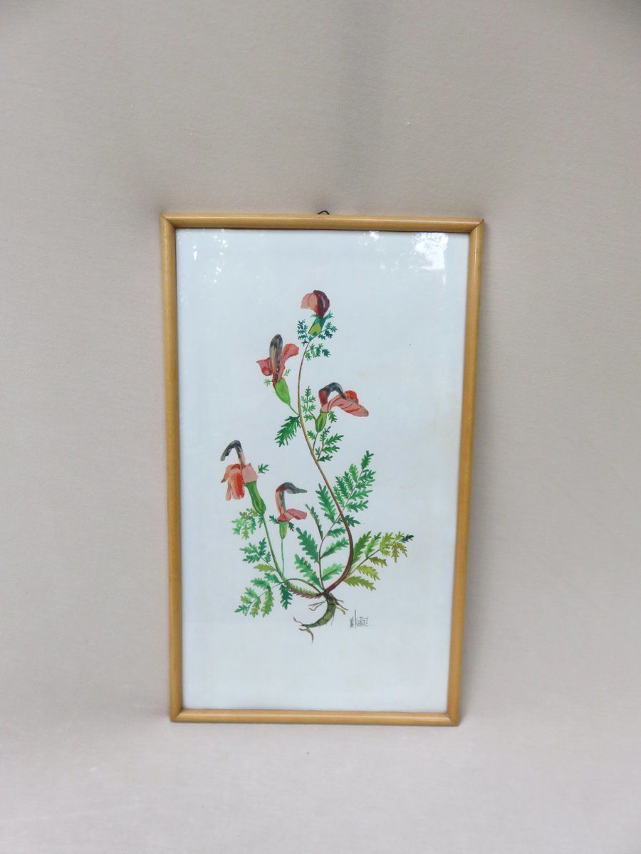 photo for sale Flowers Watercolor By W. Kratz, 1950s, Set Of 4