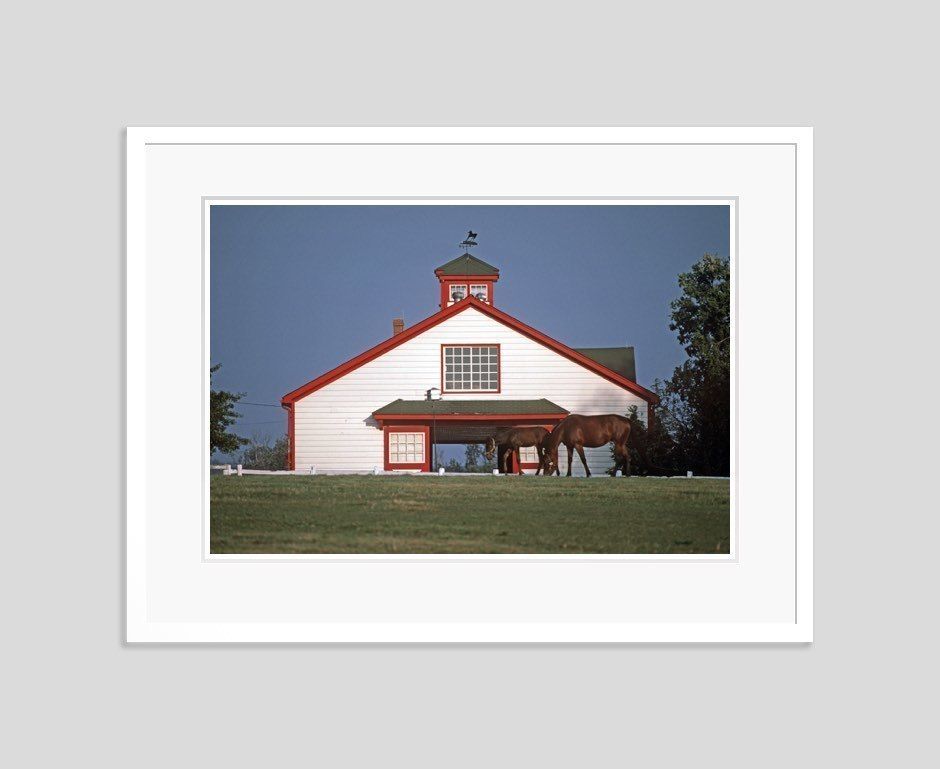 'Thoroughbred Stables' Alain Le Garsmeur Limited Edition Oversize Archival Pigment Print Framed In White photo furniture