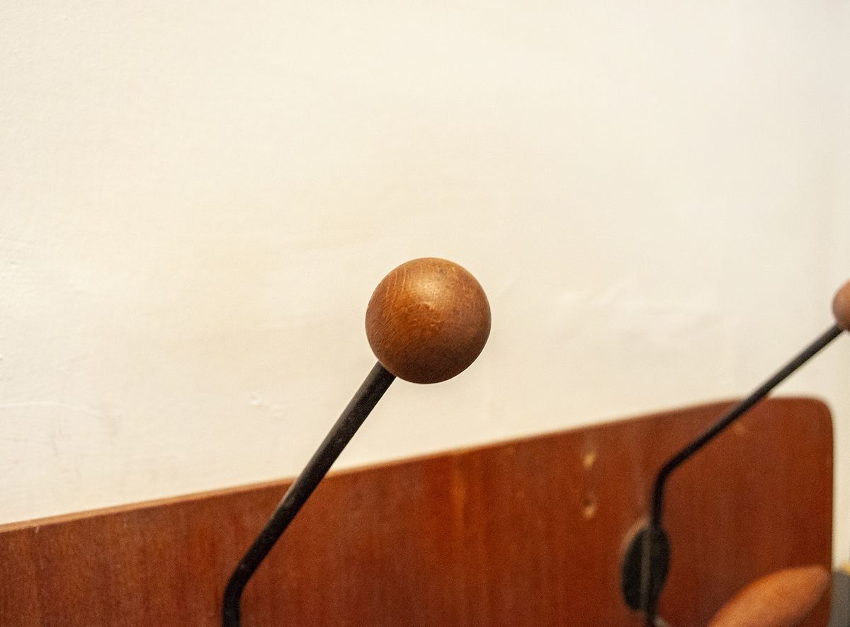 Italian Curved Plywood Coat Rack From Fratelli Reguitti, 1950s photo for sale