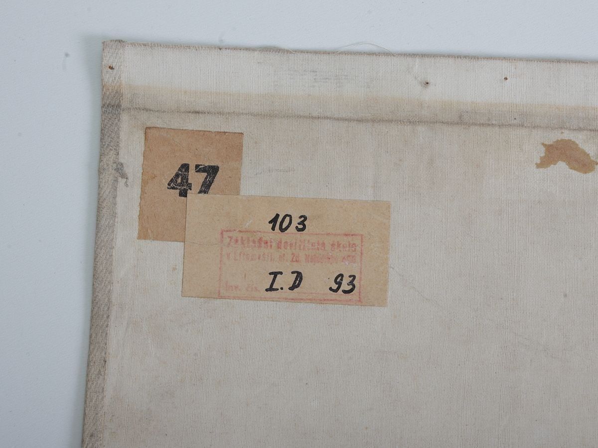 Vintage Schoolposter Van Een Gordeldier photo vinterior
