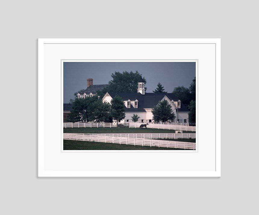 'Horse Farm' 1984 Oversize C Type Limited Edition Print Framed In White