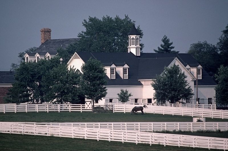 'Horse Farm' 1984 Oversize C Type Limited Edition Print Framed In White photo furniture