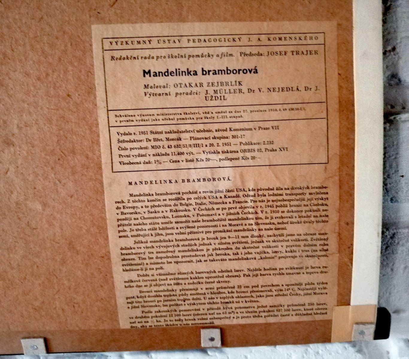 Mid Century Poster Van De Coloradokever photo vinterior