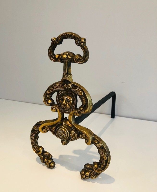 Pair Of Neoclassical Style Bronze And Wrought Iron Andirons With Lions Faces. French. Circa 1940 photo 880.0