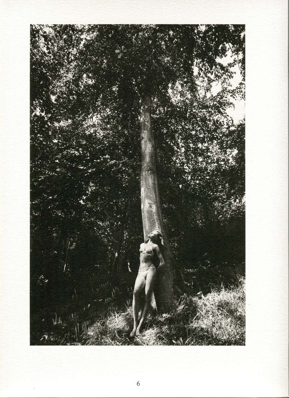 Jeanloup Sieff Jeanloup Sieff   Intimode   Les Dessous De La Mode 1983