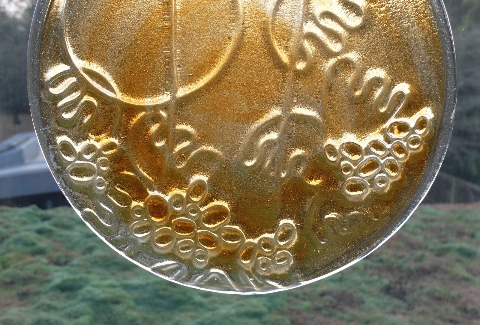 Holmegaard Per Lütken Four Seasons Suncatcher Autumn photo 390.0