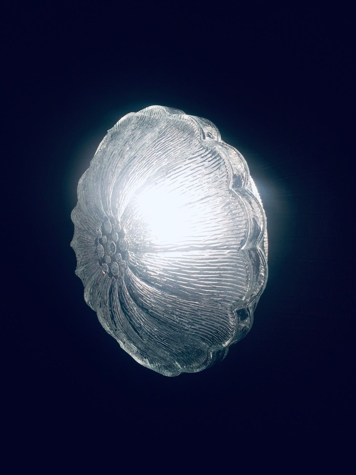 photo for sale Mid Century Glazen Lotusbloem Wandlamp, Jaren 1960, West Duitsland