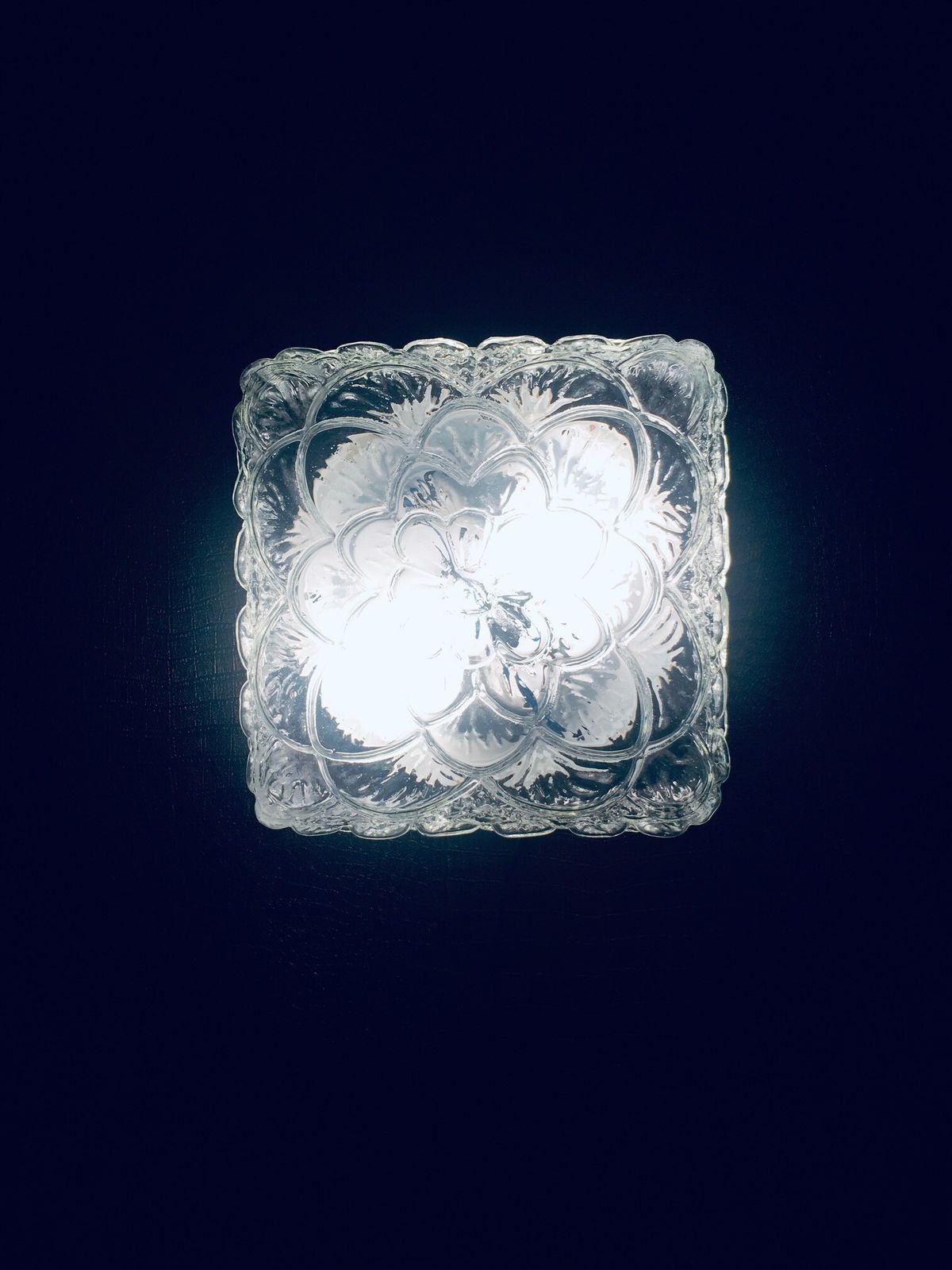 Mid Century Modern Bloem  En Bladmotief Glazen Wandlamp Van Rzb Leuchten, Jaren 1960 photo vintage
