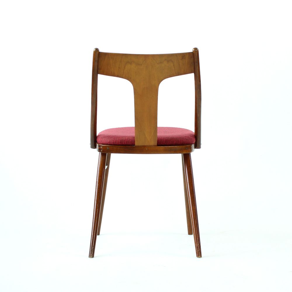 Elegant Dining Chairs In Wood And Pink Upholstery, Czechoslovakia 1960s, Set Of 4 photo for sale