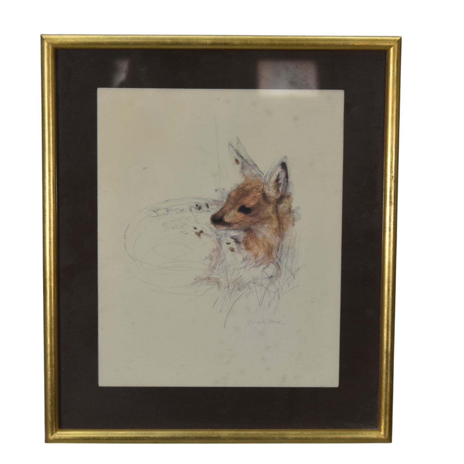 Drawing Of A Pencil Drawn Fawn By Maces Stase