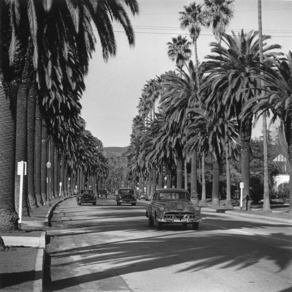 Slim Aarons 'Cannon Drive' 1952 Archival Pigment  Print Framed In Black photo furniture
