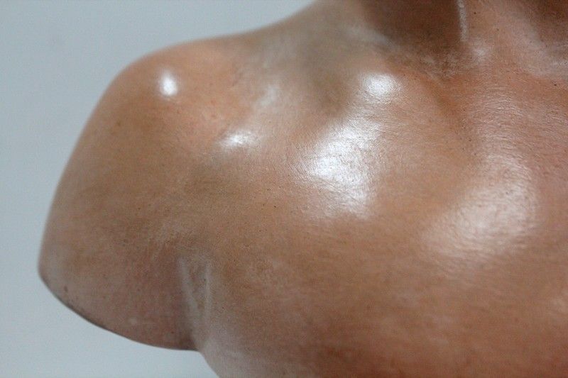 photo vinterior Terracotta Bust Of Louise Brongniart, After Houdon    1900