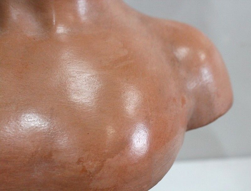photo buy Terracotta Bust Of Louise Brongniart, After Houdon    1900