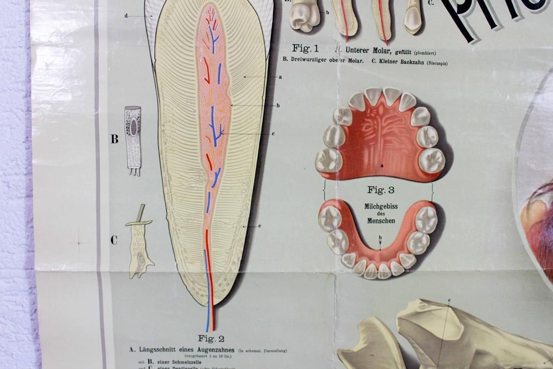 Vintage Swiss School Poster "Take Care Of Your Teeth" Teeth Care photo 179.0