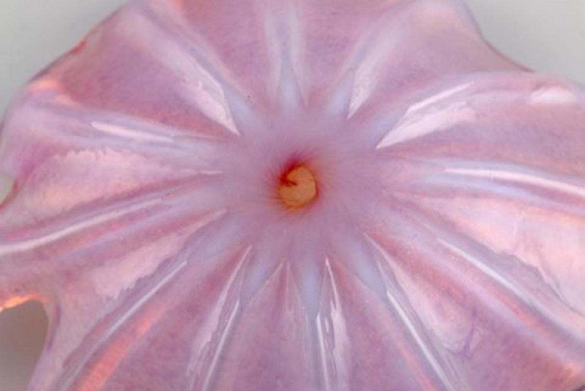 Barovier And Toso, Venice, Large Leaf Shaped Bowl In Pink Mouth Blown Art Glass photo buy