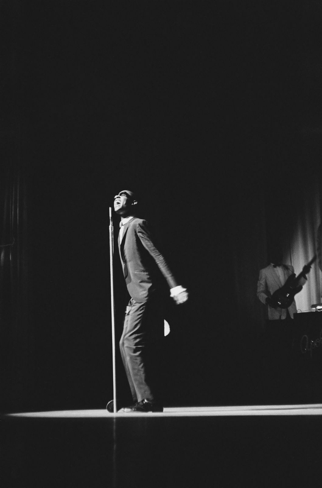 ' Stevie Wonder ' By Don Paulsen