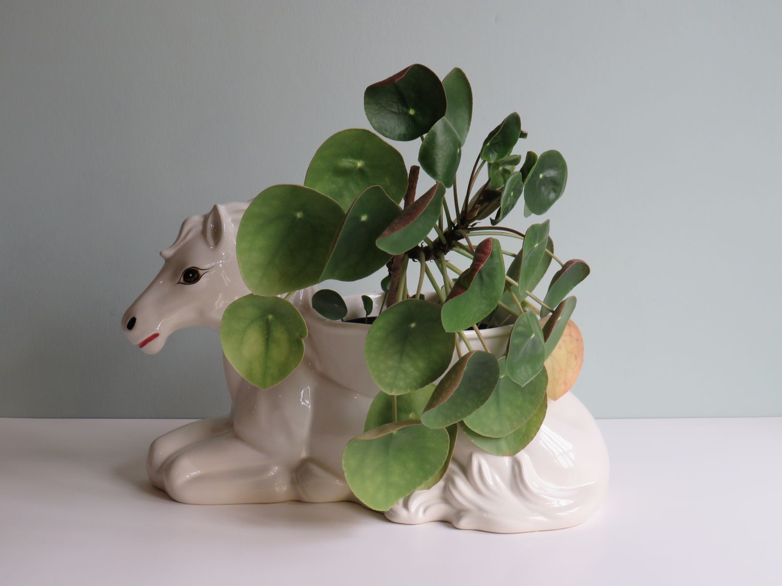 Large Planter In White Glazed Ceramic, 1950s photo buy