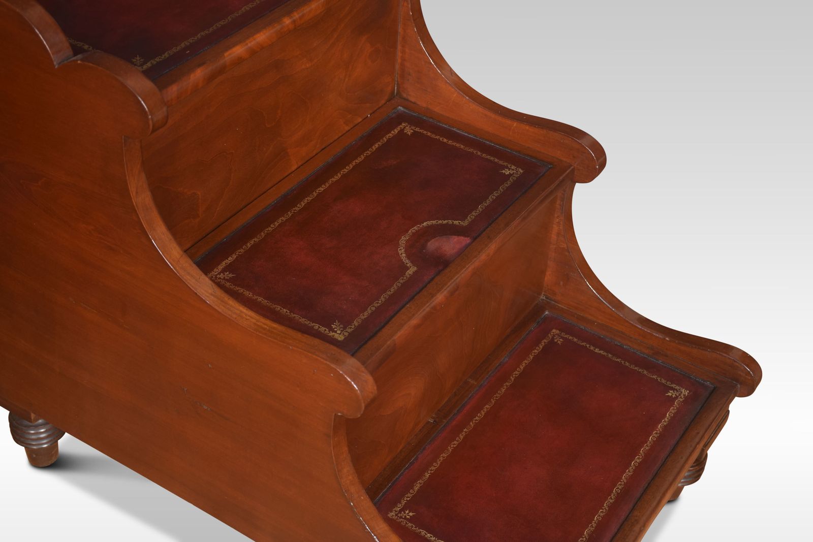 19th Century Mahogany Library Steps photo vinterior